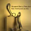 Cтимулятор простаты Lockink Sevanda Woodpecker Metal Prostate Massager, золотой - Фото №13