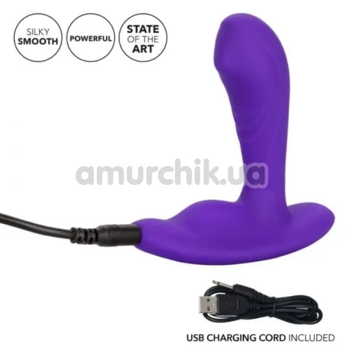 Вібростимулятор простати Silicone Remote Pinpoint Pleaser, фіолетовий