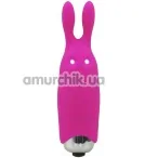 Клиторальный вибратор Adrien Lastic Pocket Vibe Rabbit, розовый - Фото №1