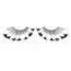 Вії Black Feather Eyelashes (модель 608) - Фото №1