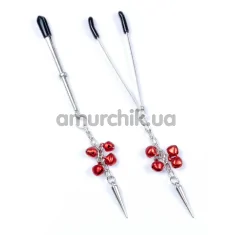 Зажимы для сосков Boss Series Fetish Exclusive Nipple Clamps No.4, серебряные - Фото №1