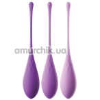 Набор вагинальных шариков Fantasy For Her Kegel Train-Her Set, фиолетовый - Фото №1