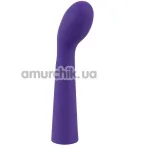 Вибратор Smile Rechargeable G-Spot Vibrator, фиолетовый - Фото №1