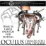 Анальный расширитель Master Series Oculus Stainless Steel Anal Explorer, серебряный - Фото №13