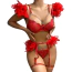 Комплект Star Night Sensual Feather & Chains, красный: бюстгальтер + трусики-стринги + пояс для чулок + гартеры - Фото №5
