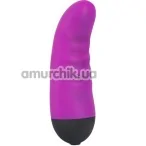 Вибратор Colorful Joy Purple Touch Vibe, фиолетовый - Фото №1