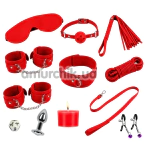 Бондажний набір DS Fetish 11 PC Kit, червоний - Фото №1