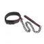 Ошейник с поводком Scandal Collar With Leash - Фото №1
