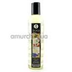 Массажное масло Shunga Erotic Massage Oil Champagne & Strawberry - шампанское и клубника, 250 мл - Фото №1