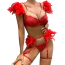 Комплект Star Night Sensual Feather & Chains, красный: бюстгальтер + трусики-стринги + пояс для чулок + гартеры - Фото №6