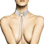 Ошейник Bijoux Indiscrets Desir Metallique Collar, серебряный - Фото №2