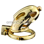 Пояс верности Lockink Sevanda Outlaw Urethral Sounding Chastity Cage, золотой - Фото №1