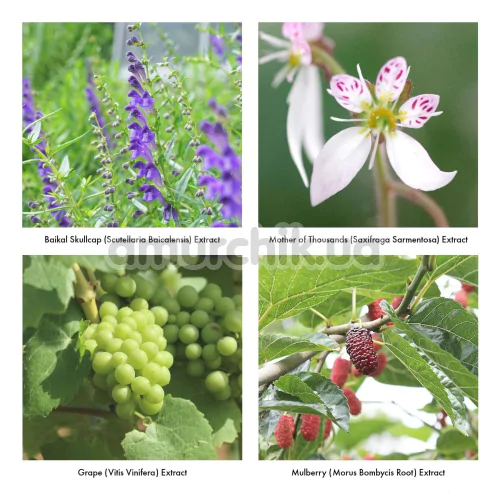 Піна для інтимної гігієни Iroha Intimate Wash Foam Type Bergamot And Bitter Orange, 150 мл