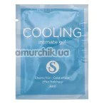 Лубрикант з охолоджуючим ефектом S Pleasures Cooling Intimate Gel, 4 мл - Фото №1
