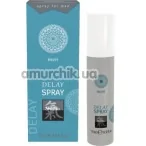 Спрей-пролонгатор Shiatsu Delay Spray Men, 15 мл - Фото №1
