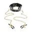 Нашийник з затискачами для сосків Fetish Fantasy Gold Collar and Nipple Clamps - Фото №1