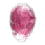Симулятор орального сексу для жінок з вібрацією Satisfyer Cloud Dancer, біло-рожевий - Фото №4