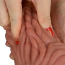 Фаллоимитатор Dual-Layered Silicone Nature Cock LV411018, коричневый - Фото №18