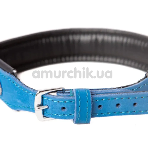 Ошейник DS Fetish Leather Collar Jewel, голубой