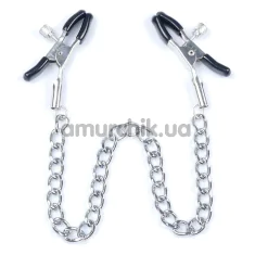 Зажимы для сосков DS Fetish Iron Nipple Clamps, серебряные - Фото №1