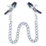 Зажимы для сосков DS Fetish Iron Nipple Clamps, серебряные - Фото №1