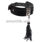 Ошейник с поводком Kinky Diva Collar Me! Teasing Tassel Collar, черно-серебряный - Фото №1