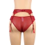 Комплект Star Night Sheer & Lace Bow Garter Belt, червоний: пояс для панчіх + трусики - Фото №5
