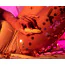 Клиторальный вибратор Lovehoney Mon Ami Bullet Massager, желтый - Фото №10