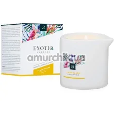 Массажная свеча Exotiq Massage Violet Ylang Ylang - иланг-иланг, 200 мл - Фото №1