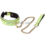 Ошейник с поводком Radiant Glow In The Dark Collar And Leash, салатовый - Фото №1