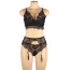 Комплект Star Night Midnight Noir Lace Lingerie Set, черный: бюстгальтер + трусики + пояс для чулок - Фото №4