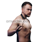 Ошейник мужской с поводком Candy Hero M-Ch2 Leather, черный - Фото №1