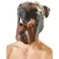 Маска Dog Mask, чёрная - Фото №1