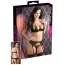 Комплект Lingerie Set, черный: бюстгальтер + пояс для чулок + трусики-стринги - Фото №3