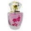 Туалетная вода с феромонами Geisha Camellia (Гейша Камелия) - реплика Calvin Klein CK IN2U Her, 50 ml для женщин - Фото №2