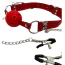 Кляп с зажимами для сосков DS Fetish Ball Gag With Nipple Clamps, красный - Фото №3