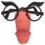 Окуляри-приколи Fun Glasses Willy - Фото №1