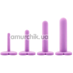 Набор фаллоимитаторов Wellness 4-piece Dilator Kit, фиолетовый - Фото №1