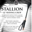 Шлепалка Master Series Stallion Riding Crop 12, черная - Фото №9