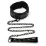 Ошейник с поводком Whipsmart Diamond Collection Collar & Leash Set, черный - Фото №1