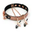 Ошейник с зажимами для сосков Liebe Seele Rose Gold Memory Thin Leather Collar with Nipple Clamps, золото-черный - Фото №2