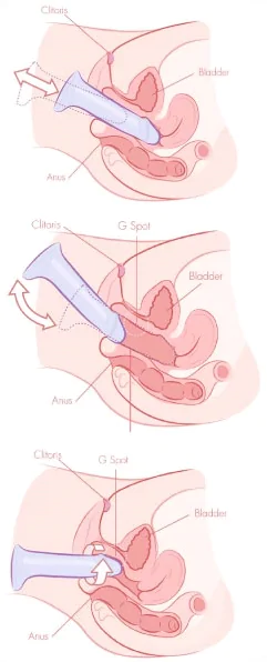 How to use dildo - badgirlsbible 