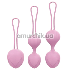 Набор вагинальных шариков Odeco Every Night Toys Wendy, розовый - Фото №1