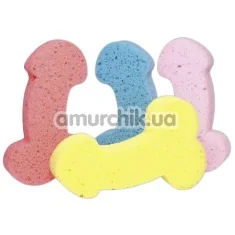 Мочалка Sponge Willy в ассортименте - Фото №1