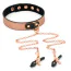 Ошейник с зажимами для сосков Liebe Seele Rose Gold Memory Thin Leather Collar with Nipple Clamps, золото-черный - Фото №1
