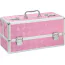 Кейс для хранения секс-игрушек The Toy Chest Lokable Vibrator Case Large, розовый - Фото №3