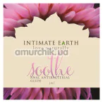 Анальний лубрикант з антибактеріальним ефектом Intimate Earth Soothe Anal Antibacterial Glide, 3 мл - Фото №1