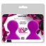 Вакуумні стимулятори для сосків Lit-Up Silicone Nipple Suckers Pleasure Pumps, рожеві - Фото №2