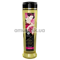Массажное масло Shunga Erotic Massage Oil Amour Sweet Lotus - лотос, 240 мл - Фото №1