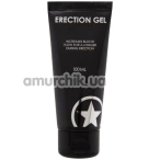 Гель для усиления эрекции Ouch! Erection Gel, 100 мл - Фото №1